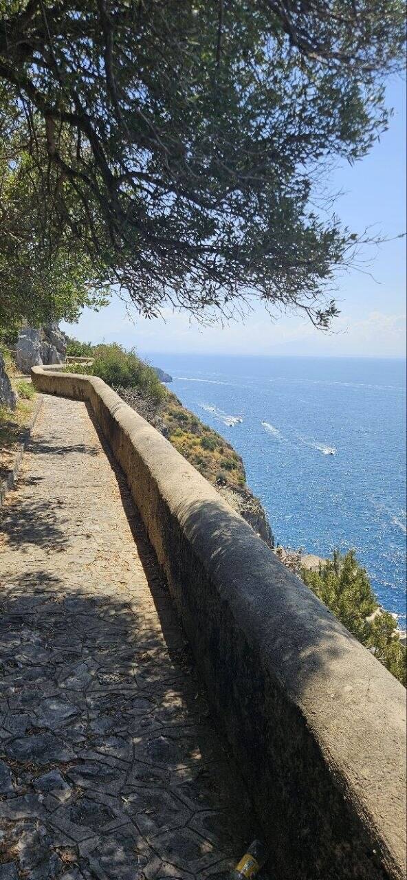 The path opens onto the sea, shaded by olives, above the boats of Praia.
