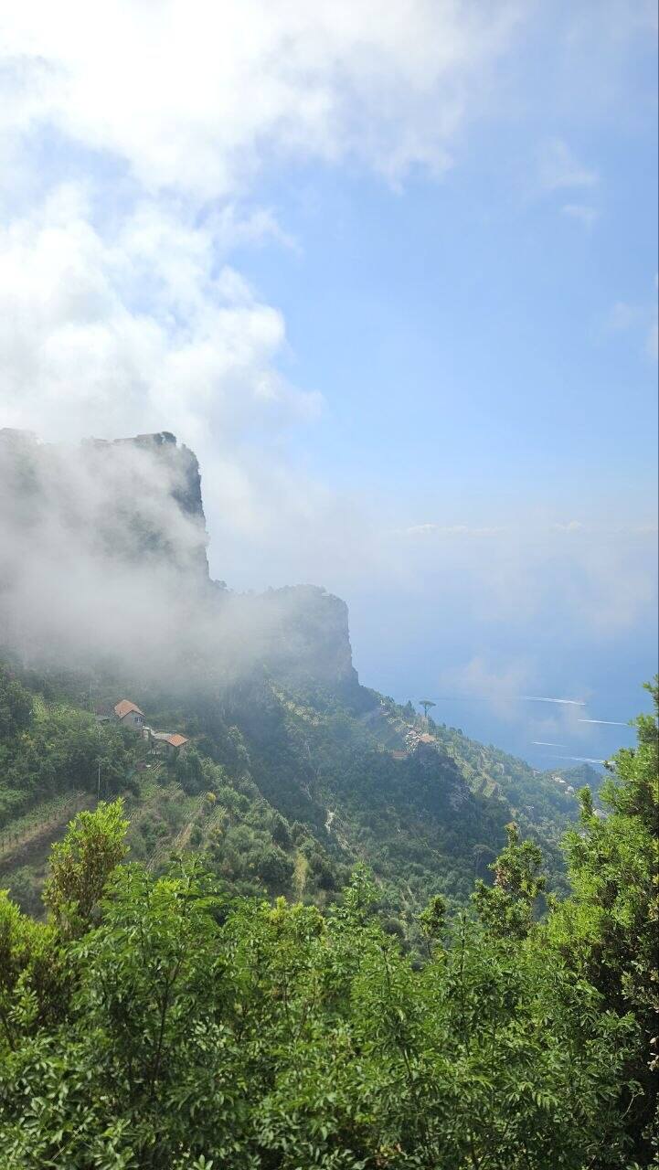 Vineyards and terraces of Furore, seen from the Sentiero degli Dei.