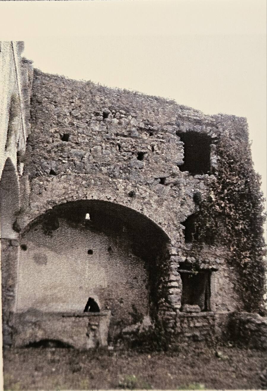 The well before restoration, and the mules that carried every load up.